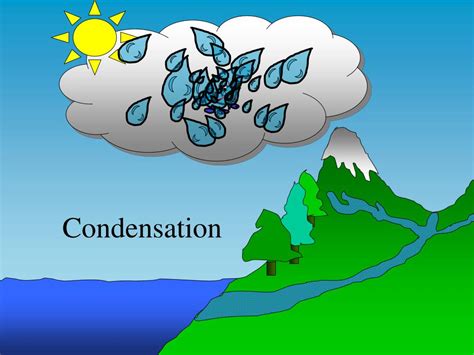 condensation definition water cycle